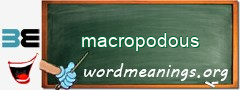 WordMeaning blackboard for macropodous